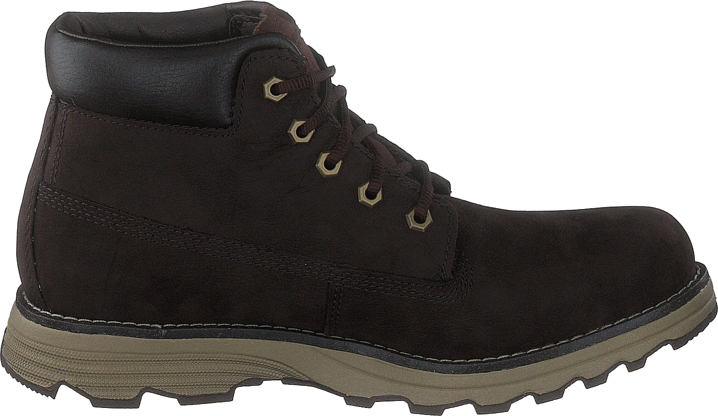 CAT Founder Wp Tx Coffee Bean 4 CAT Founder Wp Tx Coffee Bean - Image 2