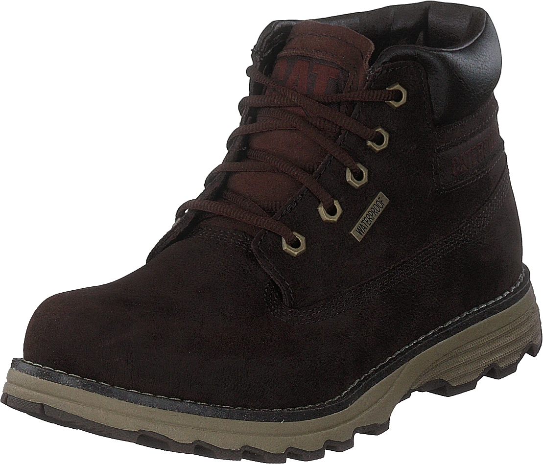 CAT Founder Wp Tx Coffee Bean 5 CAT Founder Wp Tx Coffee Bean - Image 3