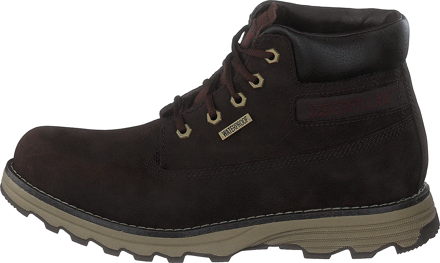 CAT Founder Wp Tx Coffee Bean 3 CAT Founder Wp Tx Coffee Bean