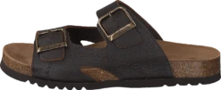 Scholl Moldava Ad Dk Brown